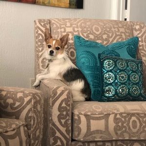 Meet your Posher, Polly